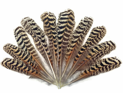 Brown Feathers for Sale  Crafting Brown Feathers